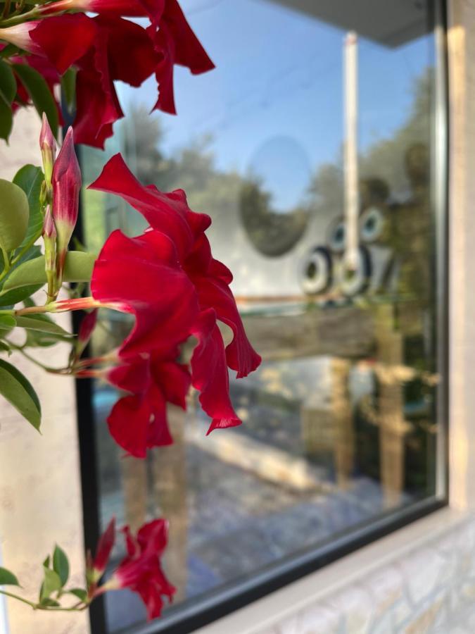 Vila Natali Himarë Exteriér fotografie