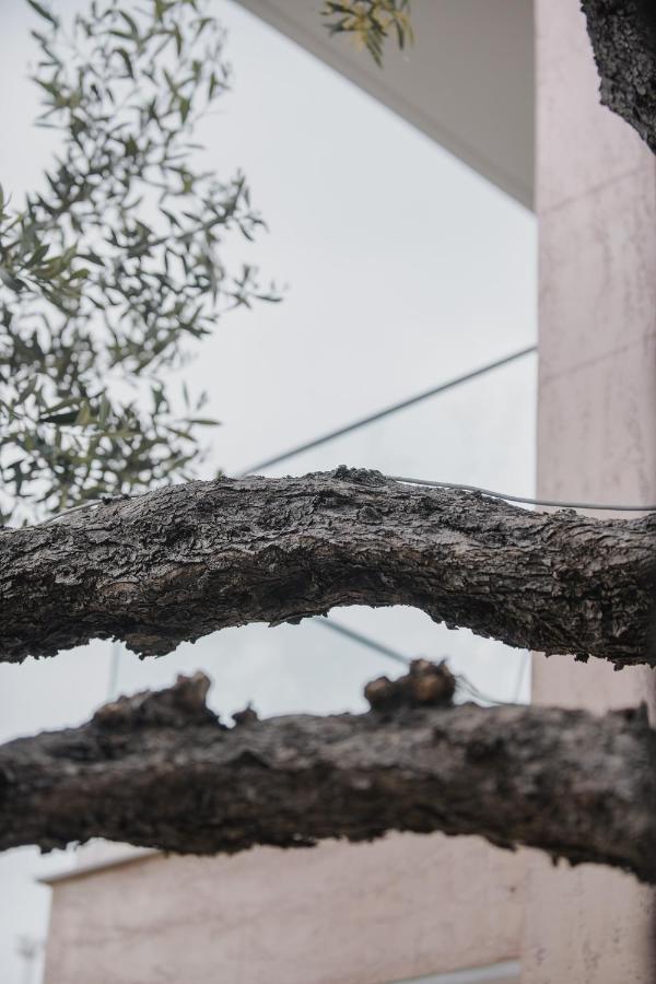 Vila Natali Himarë Exteriér fotografie